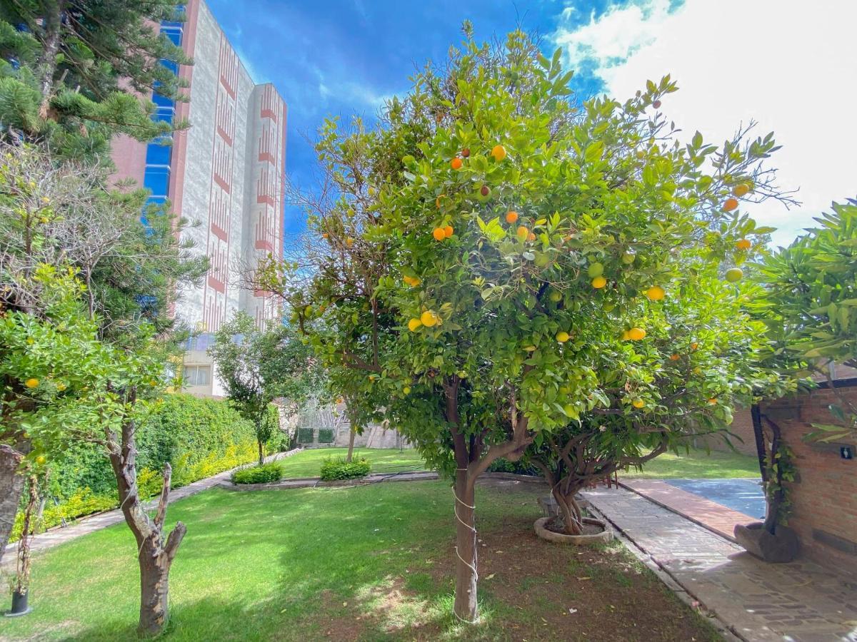 Azabu Hotel Collection San Luis Potosí Екстериор снимка